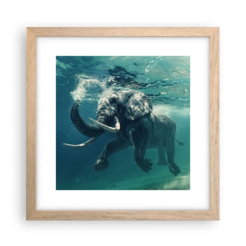 Poster in einem Rahmen aus heller Eiche - Jeder schwimmt gerne - 30x30 cm
