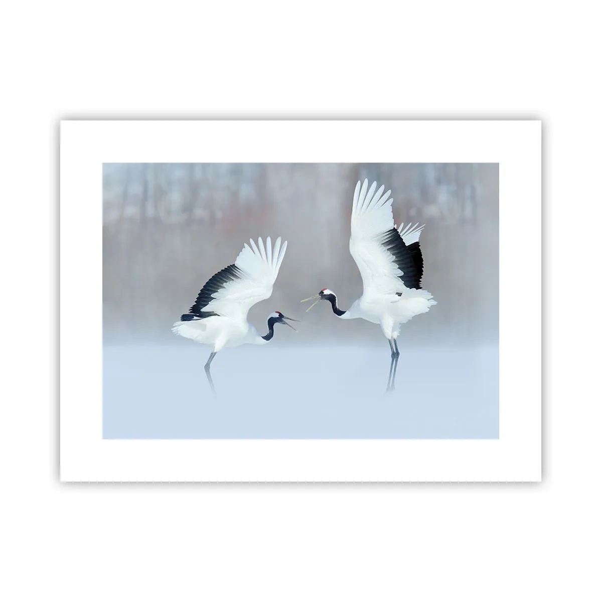 Poster - Tanz im Nebel - 40x30 cm