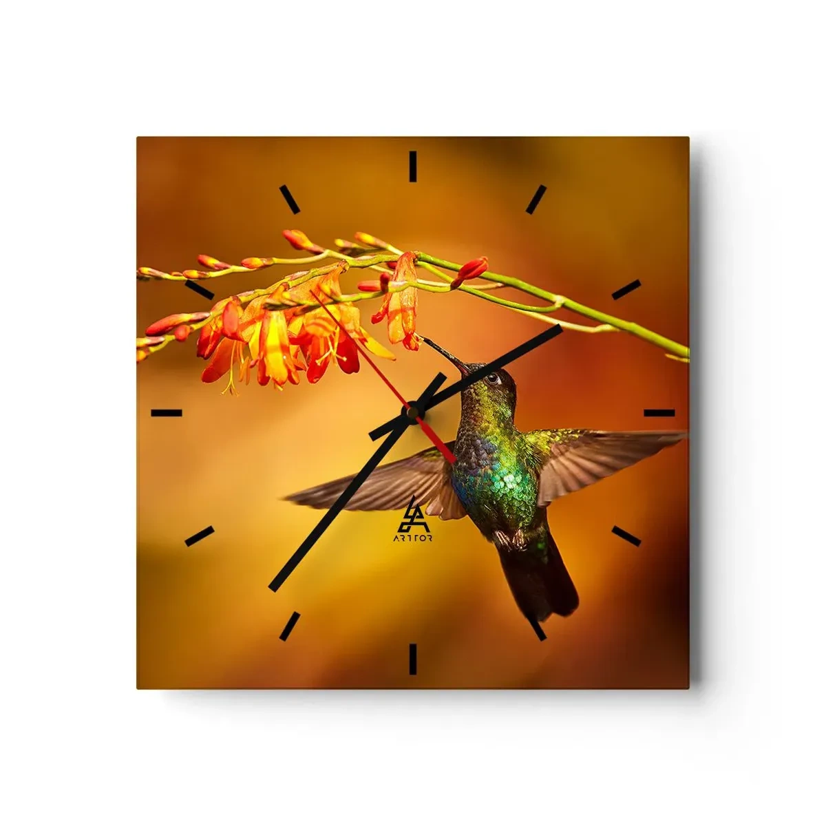 Wanduhr - Glasuhr - Kolibri neben einer Blume im warmen Licht - 30x30cm - Ein Lichtbote nach den Maya - Moderne Wanddekoration für Wohnzimmer und Schlafzimmer ARTTOR