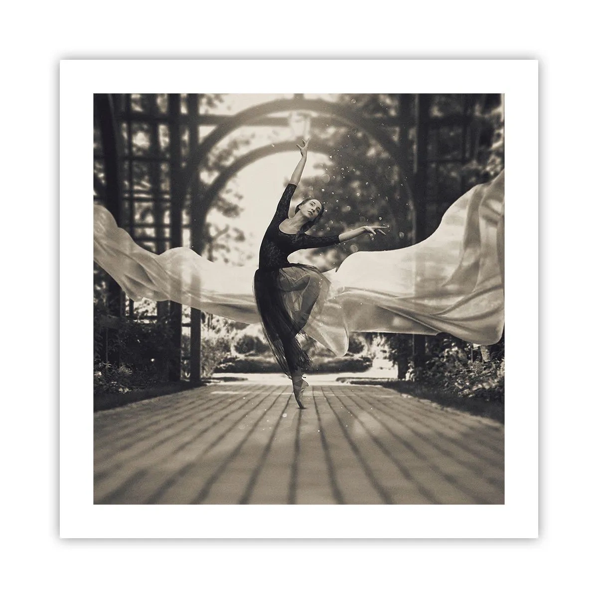 Poster - Der Tanz des Gartengeistes - 50x50 cm