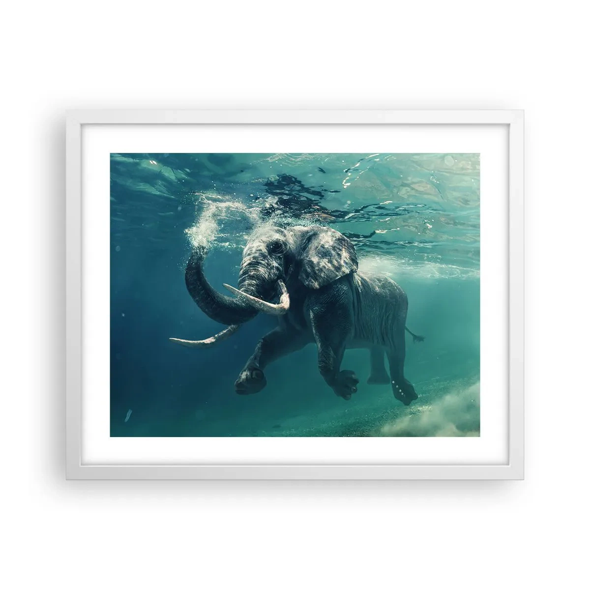 Poster in einem weißen Rahmen - Jeder schwimmt gerne - 50x40 cm