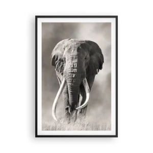 Poster in einem schwarzem Rahmen - Afrikanischer Patriarch - 61x91 cm