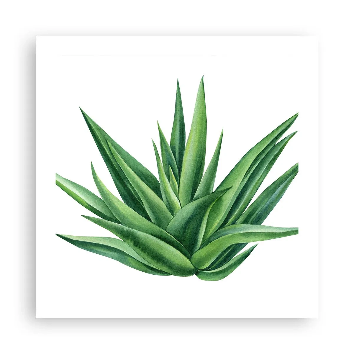 Poster - Grün – Kraft – Leben - 50x50 cm