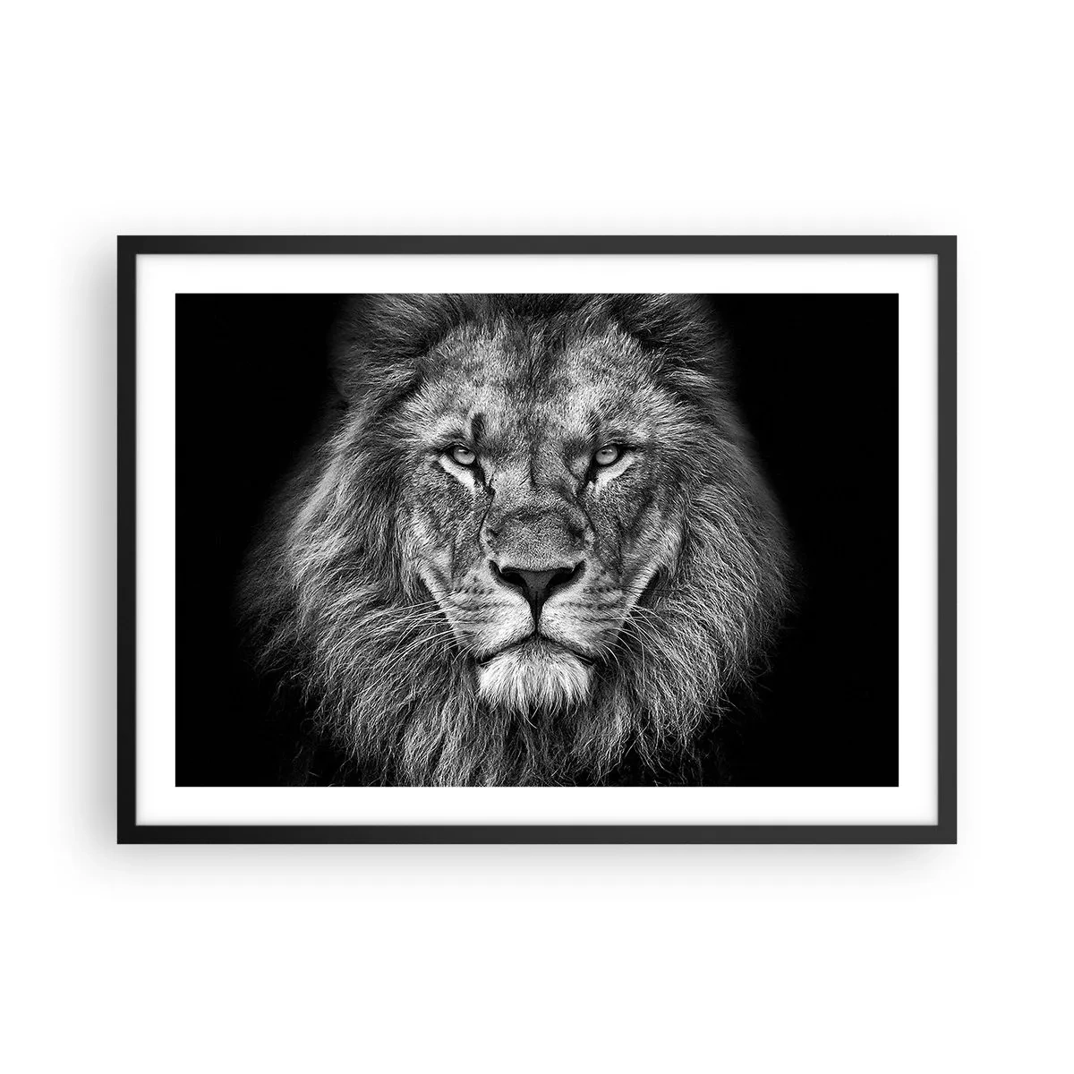 Poster in einem schwarzem Rahmen - Porträt eines majestätischen Löwen in Schwarz und Weiß - 70x50cm - Im Krönungsgewand - Moderne Wanddekoration für Wohnzimmer und Schlafzimmer ARTTOR