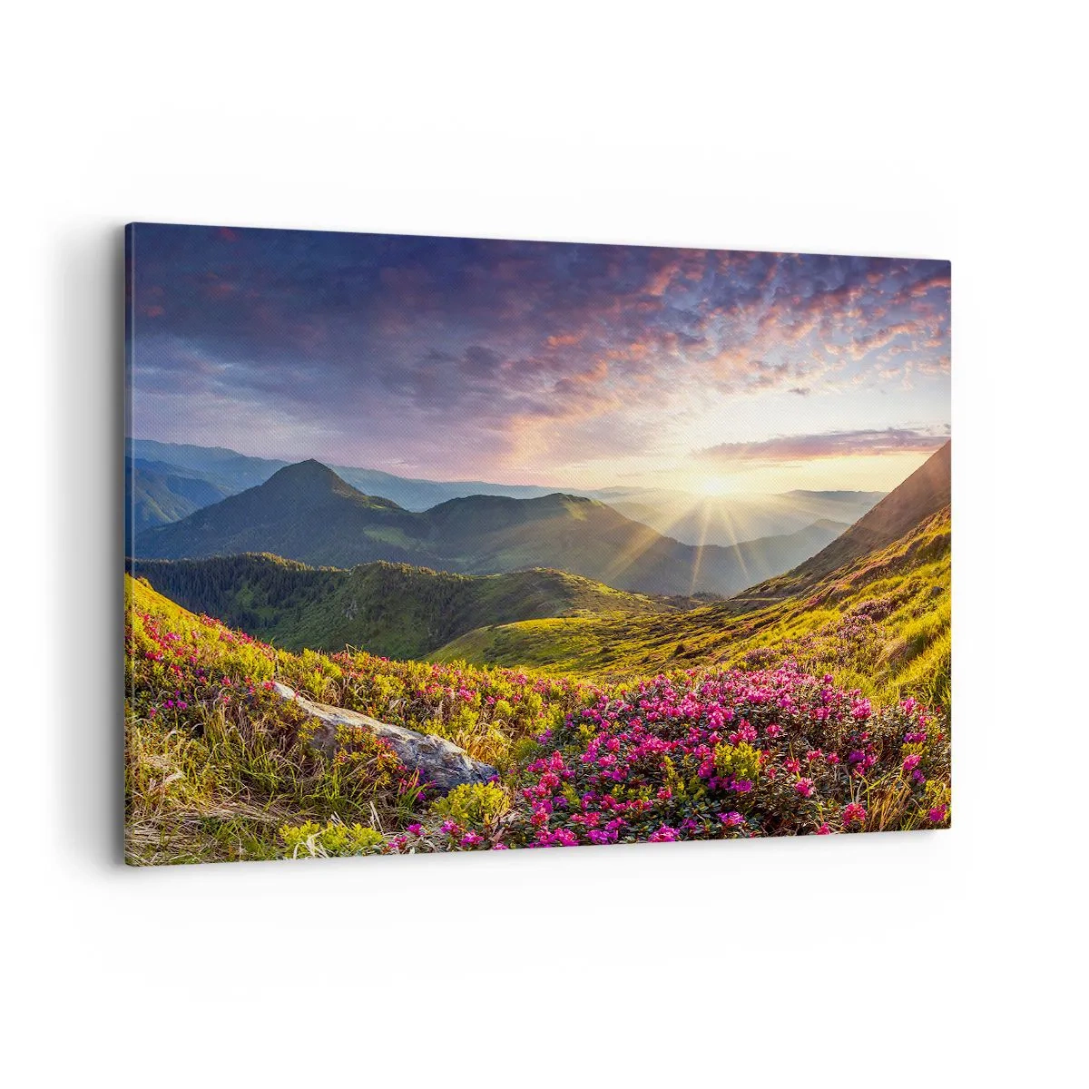 Bild auf Leinwand - Leinwandbild - Berglandschaft mit blühenden Rhododendren - 120x80cm - Frische am Bergmorgen - Moderne Wanddekoration für Wohnzimmer und Schlafzimmer ARTTOR