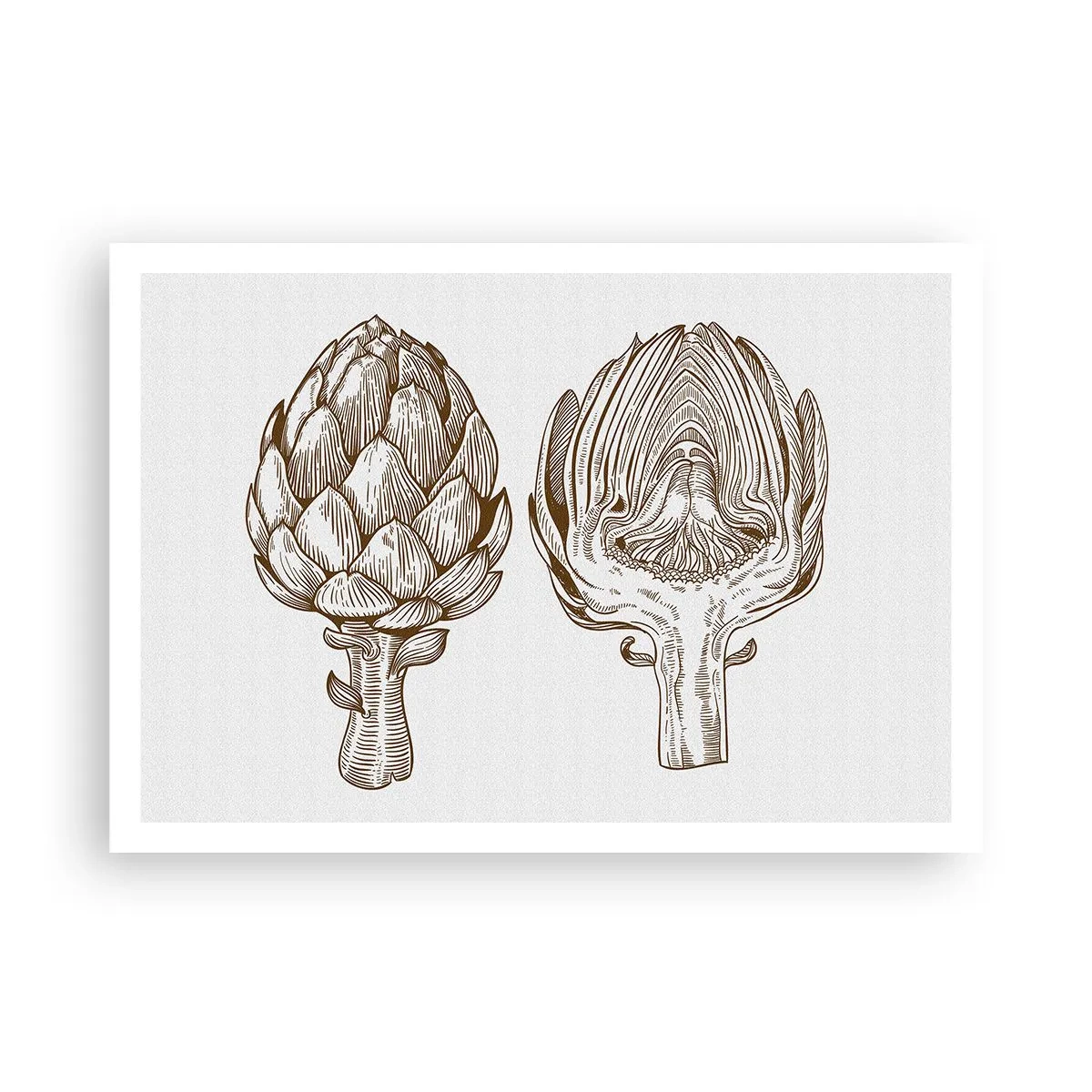 Poster - Vintage Kunstzeichnung einer Artischocke - 100x70cm - Anatomie-Lektion - Moderne Wanddekoration für Wohnzimmer und Schlafzimmer ARTTOR