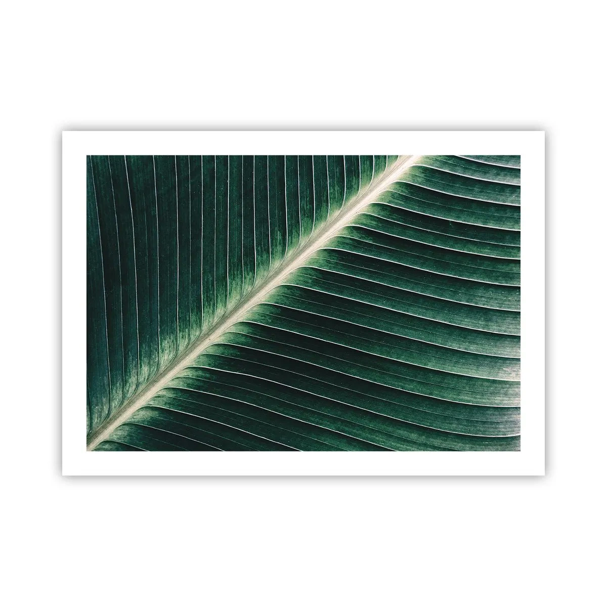 Poster - Rhythmus der Natur - 70x50 cm