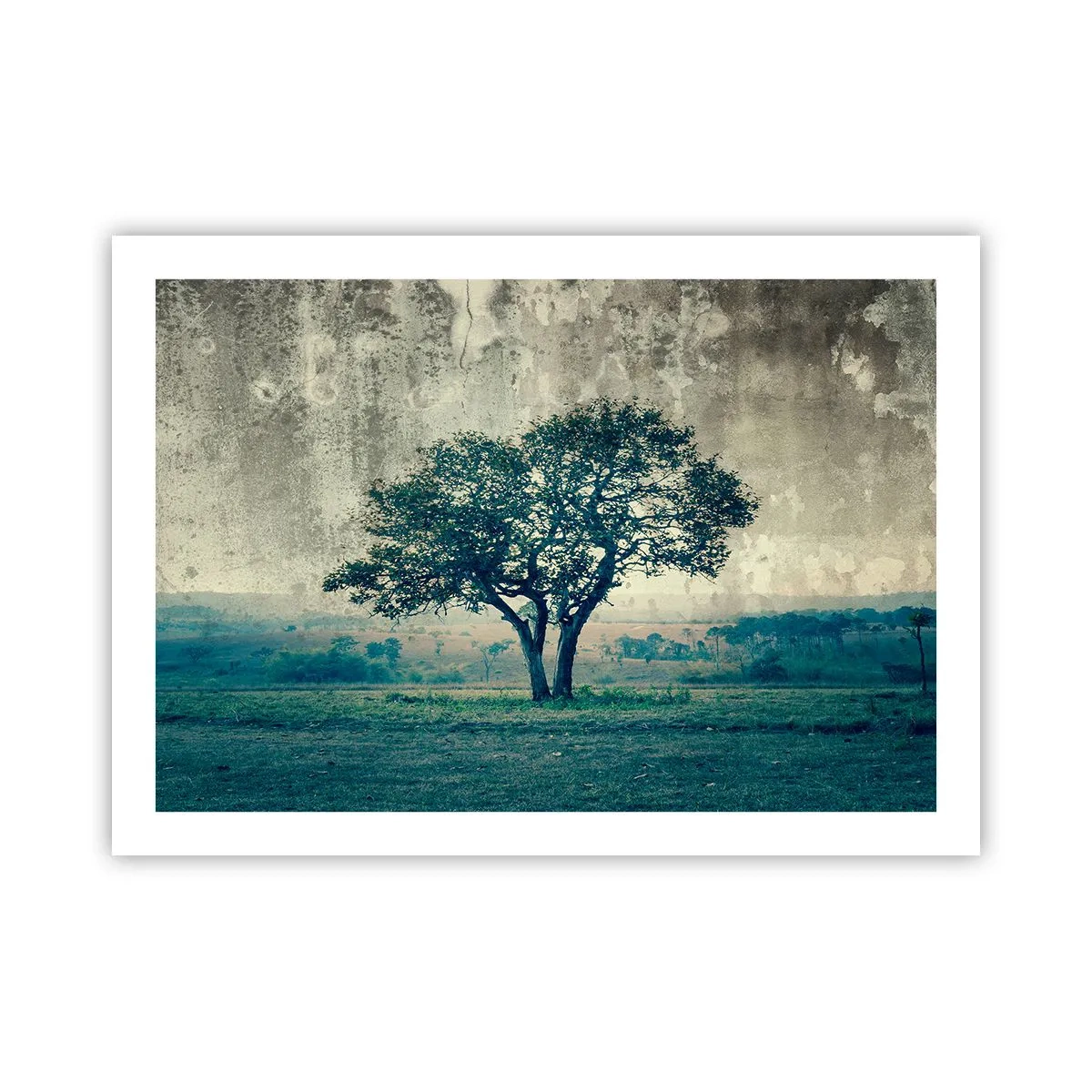 Poster - Ein Apfelbaum auf blauem Feld? - 70x50 cm
