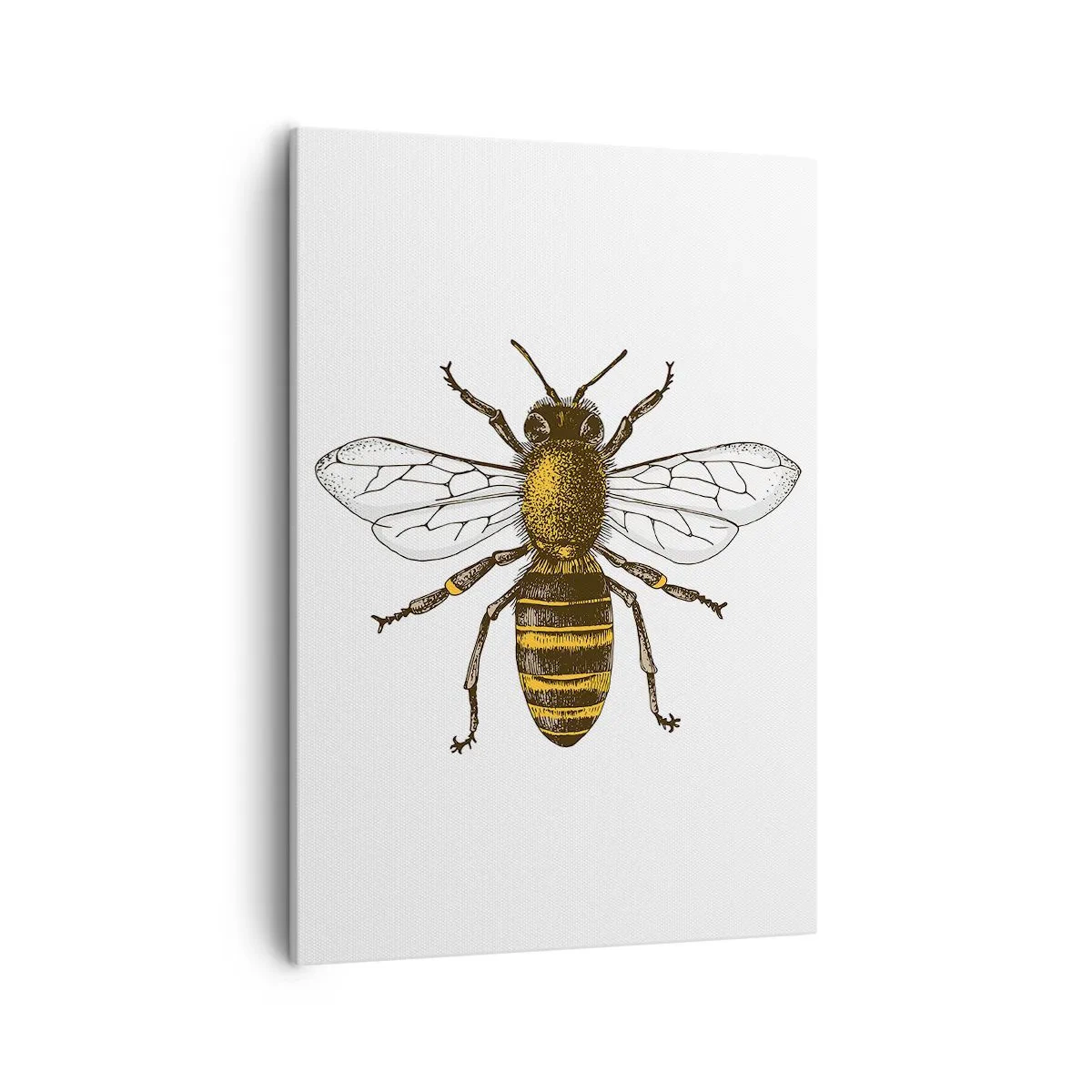 Bild auf Leinwand - Leinwandbild - Detaillierte Darstellung einer Biene auf weißem Hintergrund - 50x70cm - Schön und gut - Moderne Wanddekoration für Wohnzimmer und Schlafzimmer ARTTOR