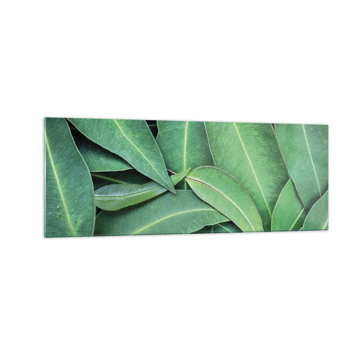 Glasbild - Bild auf glas - Nahaufnahme von grünen Blättern, die ein natürliches Muster erzeugen - 140x50cm - Saftig und frisch - Moderne Wanddekoration für Wohnzimmer und Schlafzimmer ARTTOR