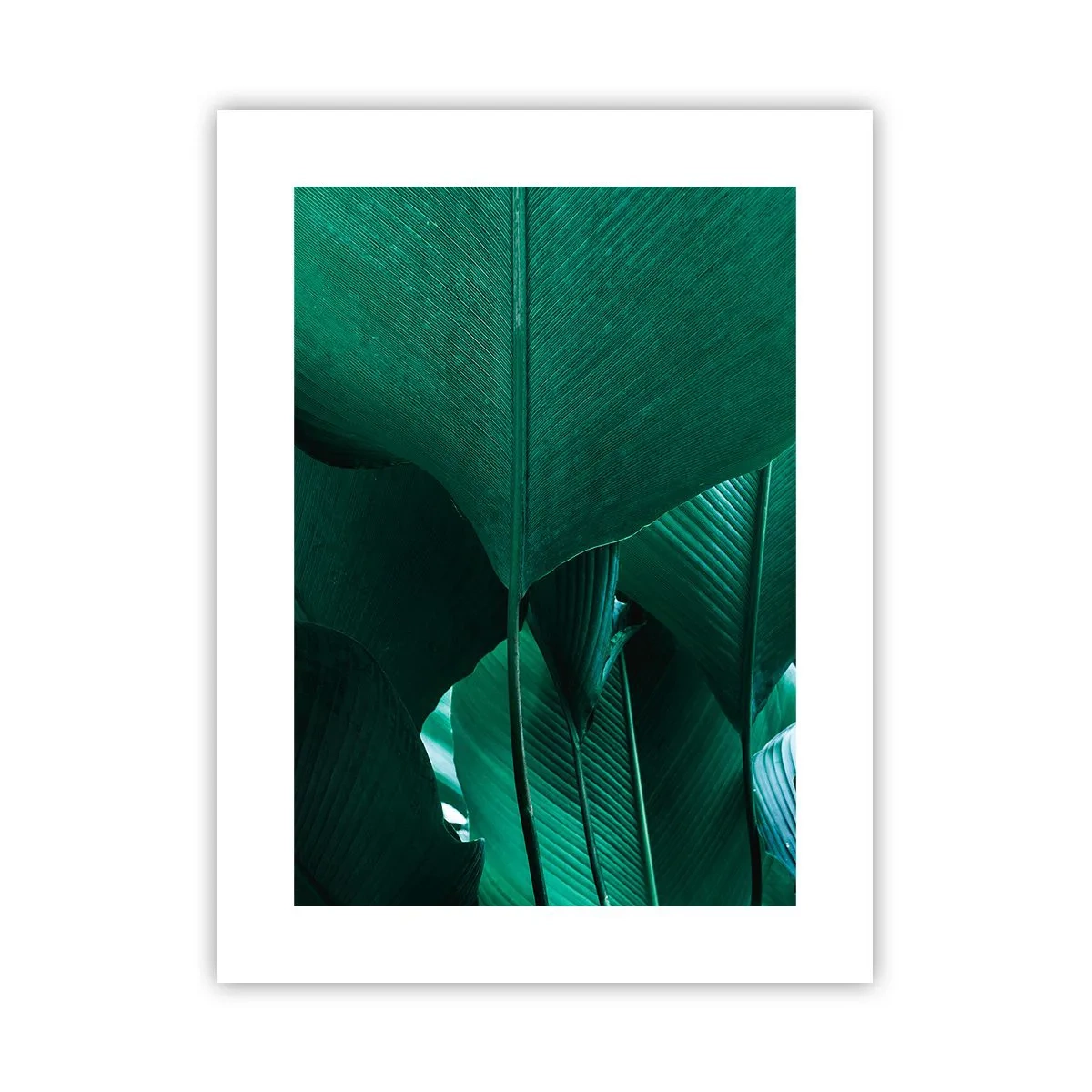 Poster - Dem Licht zugewandt - 30x40 cm