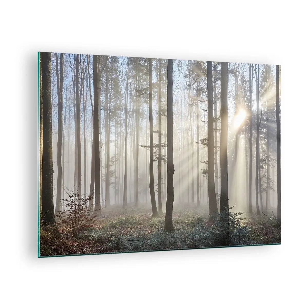 Glasbild - Bild auf glas - Morgensonnenstrahlen durchdringen den nebligen Wald - 70x50cm - Der Nebel ist auch aufgewacht - Moderne Wanddekoration für Wohnzimmer und Schlafzimmer ARTTOR
