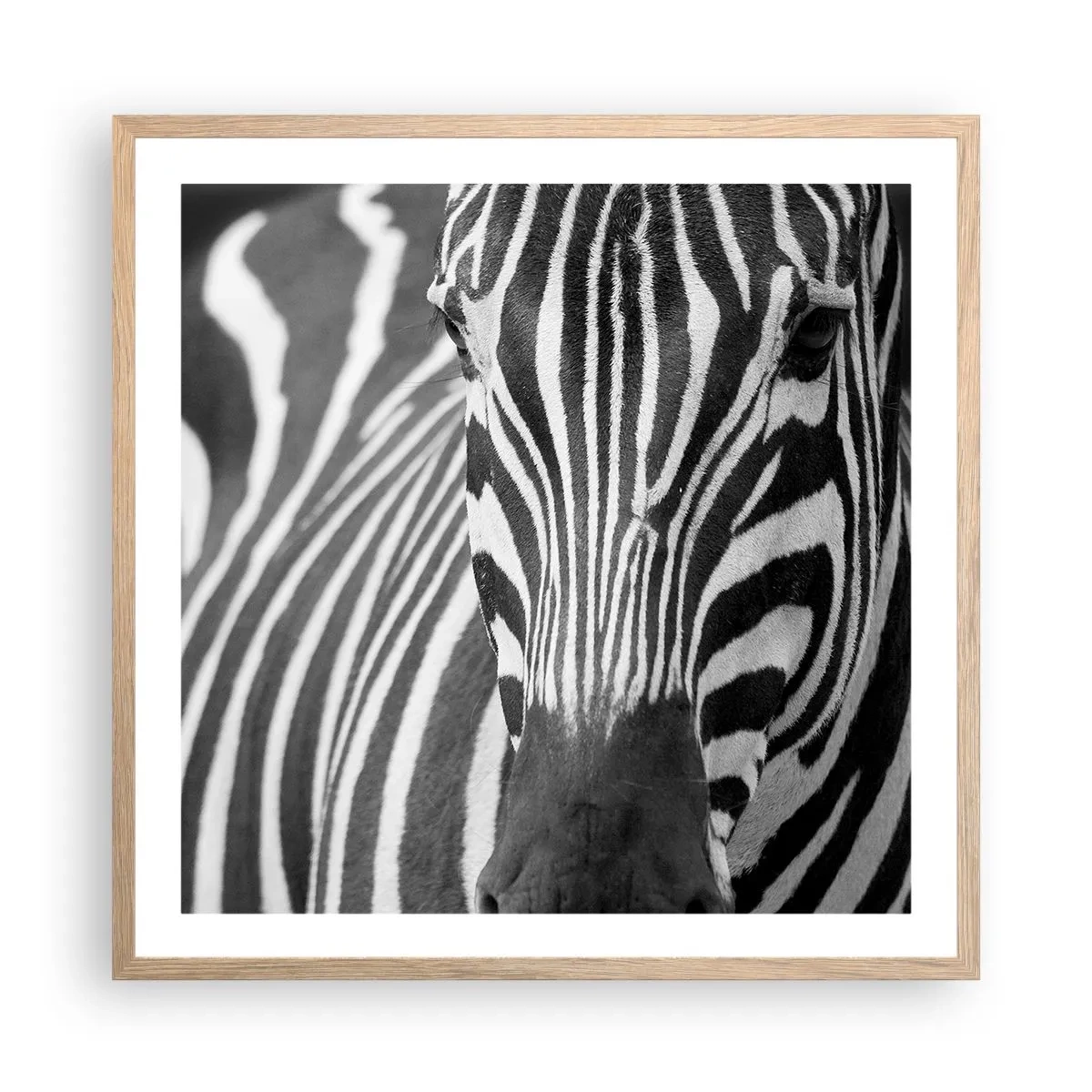 Poster in einem Rahmen aus heller Eiche - Die Welt ist schwarz und weiß - 60x60 cm