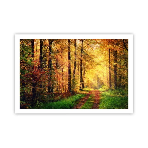 Poster - Waldgoldene Stille - 91x61 cm