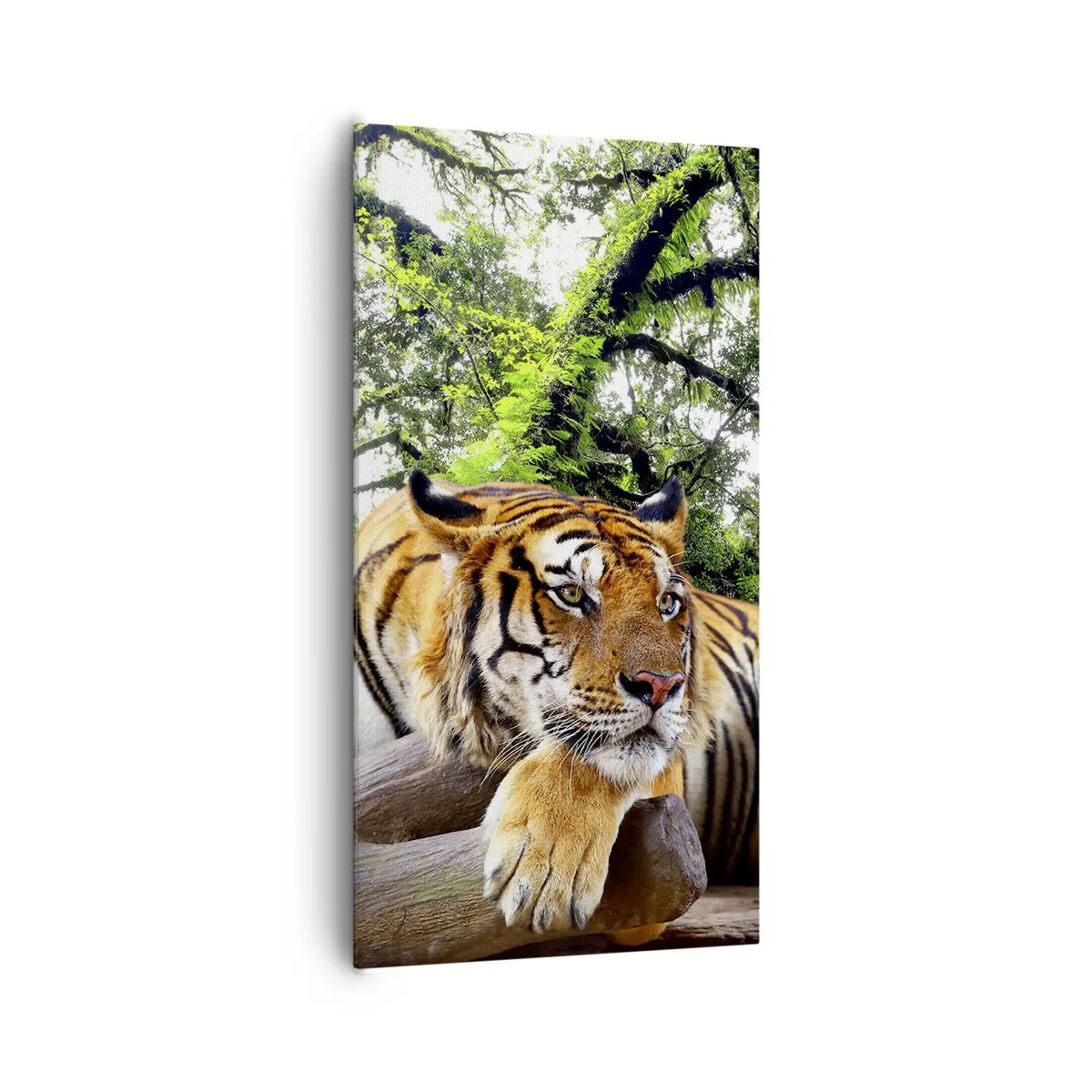 Bild auf Leinwand - Leinwandbild - Hochachtungsvoll - 65x120 cm