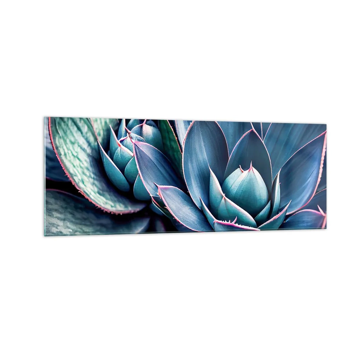 Glasbild - Bild auf glas - Agave in Blau- und Grüntönen mit rosa Akzenten - 140x50cm - Lebenskraft - Moderne Wanddekoration für Wohnzimmer und Schlafzimmer ARTTOR