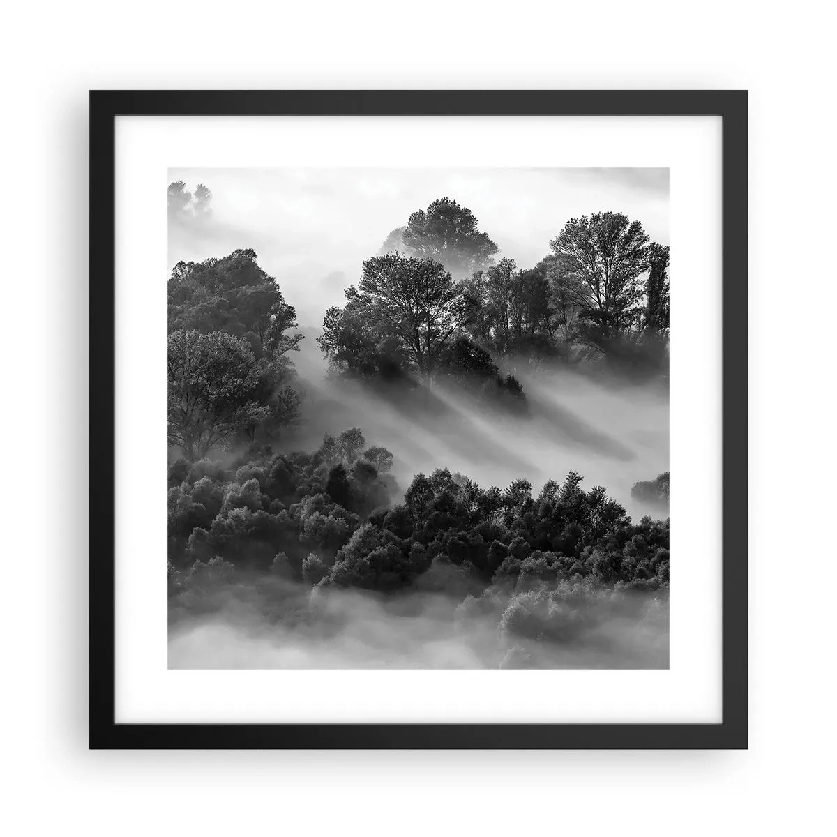 Poster in einem schwarzem Rahmen - Aufstehend aus dem Schlaf - 40x40 cm
