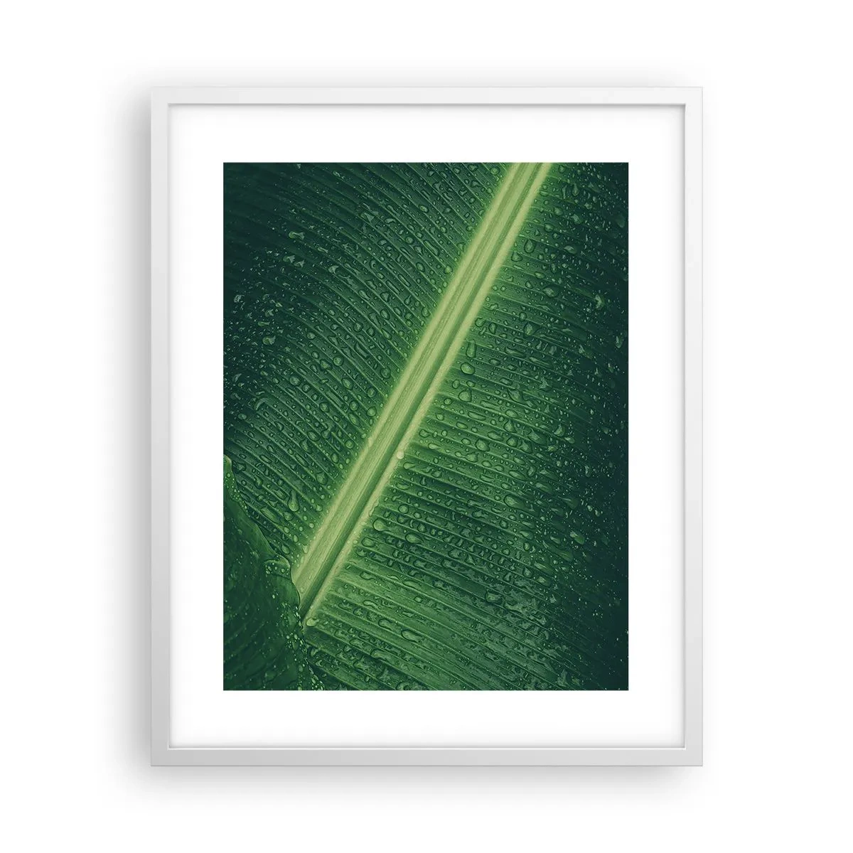 Poster in einem weißen Rahmen - Die Struktur des Grüns - 40x50 cm