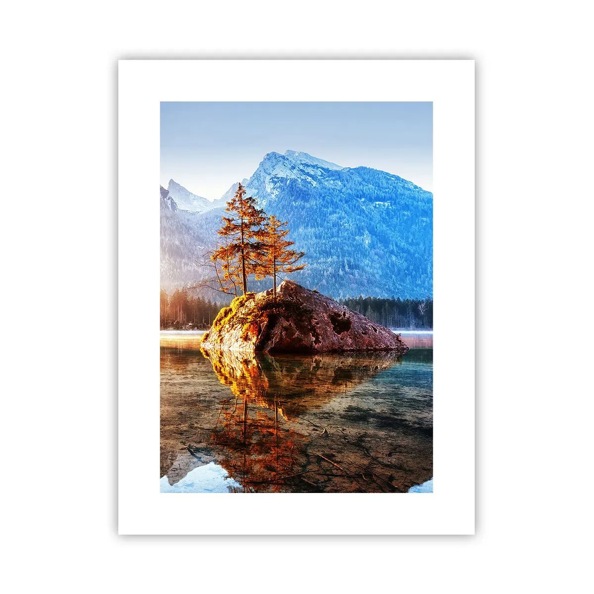 Poster - Natur in neuem Licht - 30x40 cm