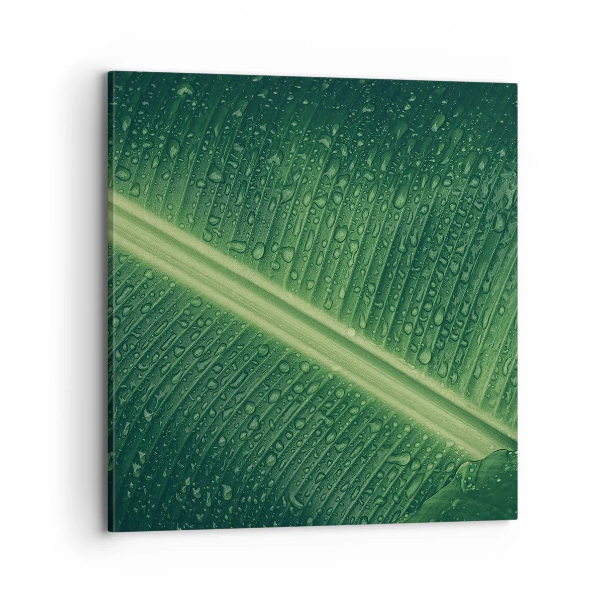 Bild auf Leinwand - Leinwandbild - Die Struktur des Grüns - 70x70 cm