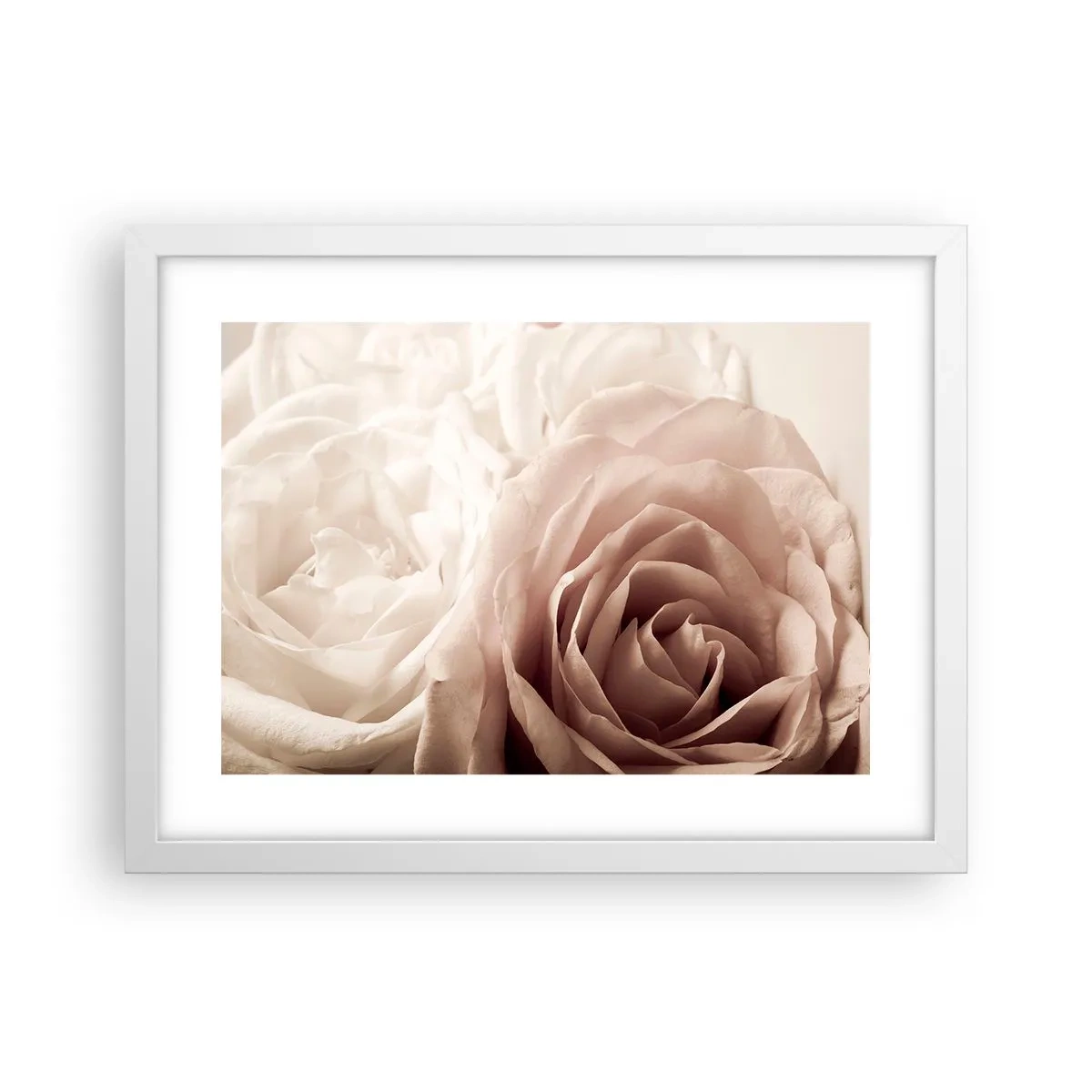 Poster in einem weißen Rahmen - Im Herzen der Rose - 40x30 cm