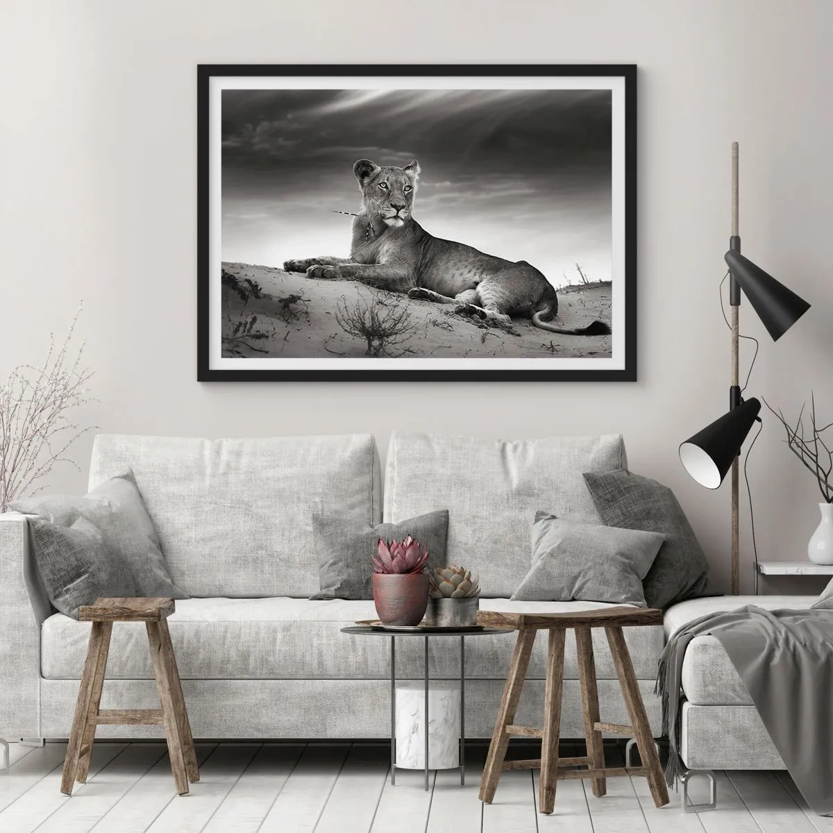 Poster in einem schwarzem Rahmen - Die Königin der Wüstenruhe - 91x61 cm