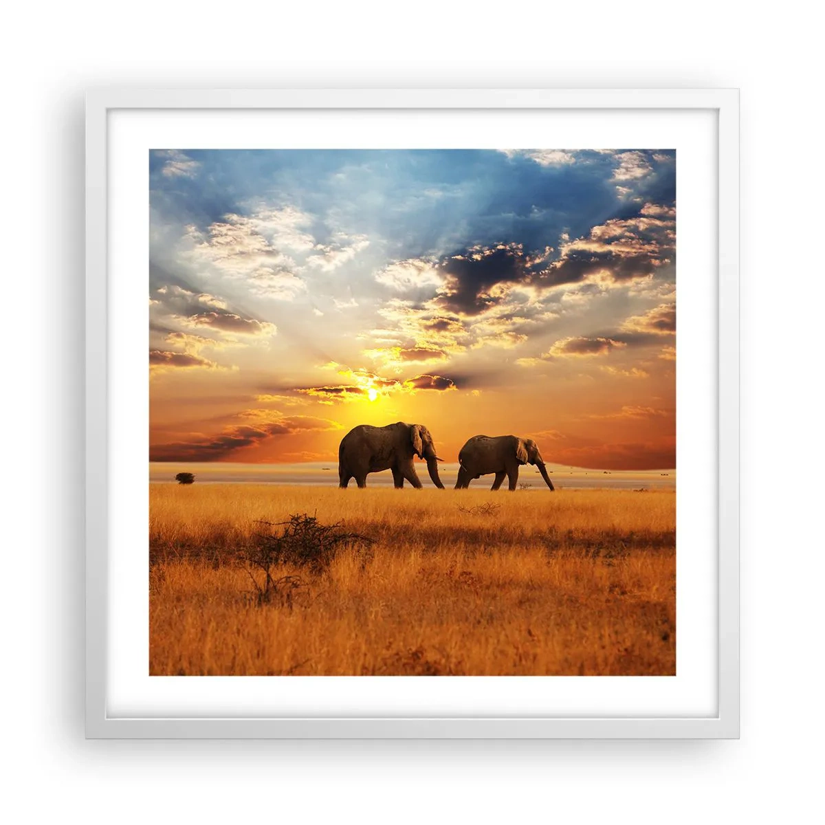 Poster in einem weißen Rahmen - Familienspaziergang - 50x50 cm