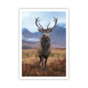 Poster - Auf eigenem Land - 70x100 cm