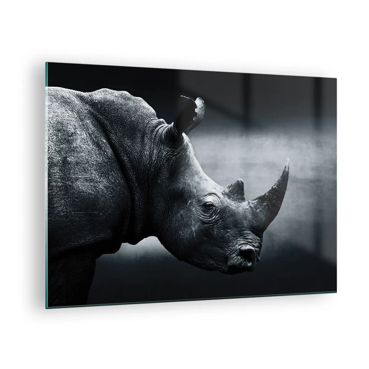 Glasbild - Bild auf glas - Schwarz-Weiß-Aufnahme eines Nashorns - 70x50cm - Richtiges Profil - Moderne Wanddekoration für Wohnzimmer und Schlafzimmer ARTTOR