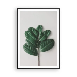 Poster in einem schwarzem Rahmen - Eine Zeichnung purer Natur - 70x100 cm