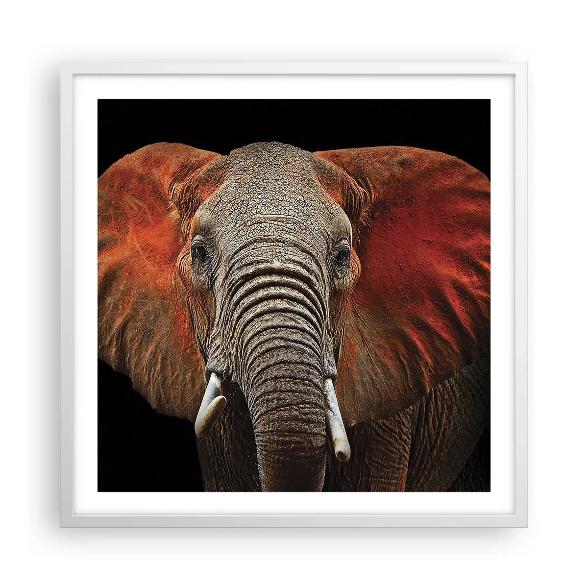 Poster in einem weißen Rahmen - Ich bin wild und du? - 60x60 cm