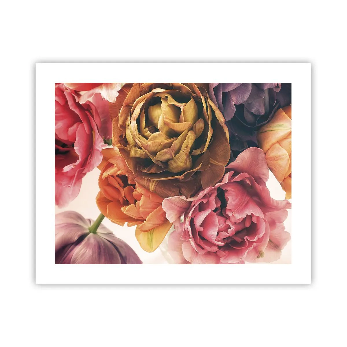 Poster - Eine Feier des Lebens - 50x40 cm