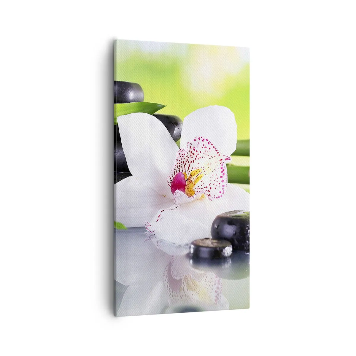 Bild auf Leinwand - Leinwandbild - Kühle Frische - 55x100 cm