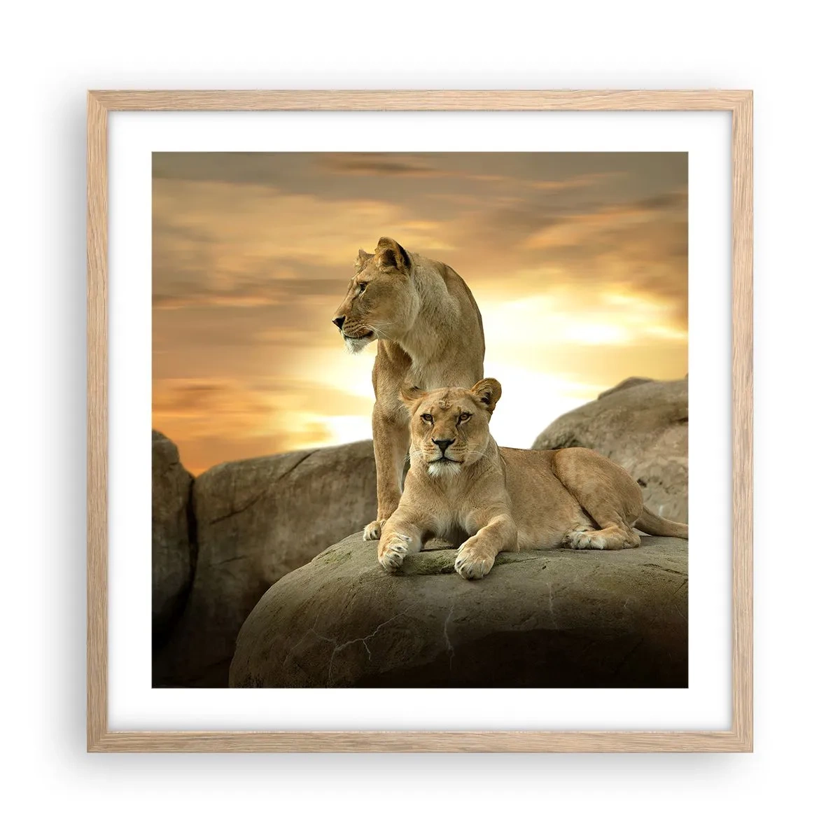 Poster in einem Rahmen aus heller Eiche - Königliche Majestät - 50x50 cm