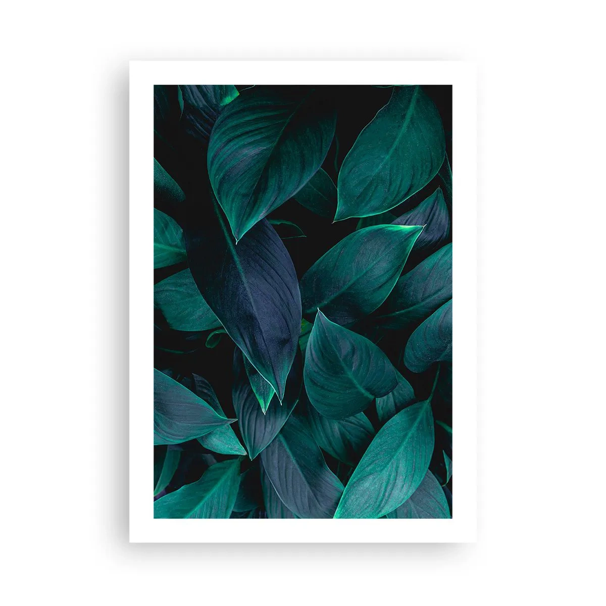 Poster - Dunkelgrüne Blätter mit dezenter Hintergrundbeleuchtung - 50x70cm - Grün in sich selbst - Moderne Wanddekoration für Wohnzimmer und Schlafzimmer ARTTOR