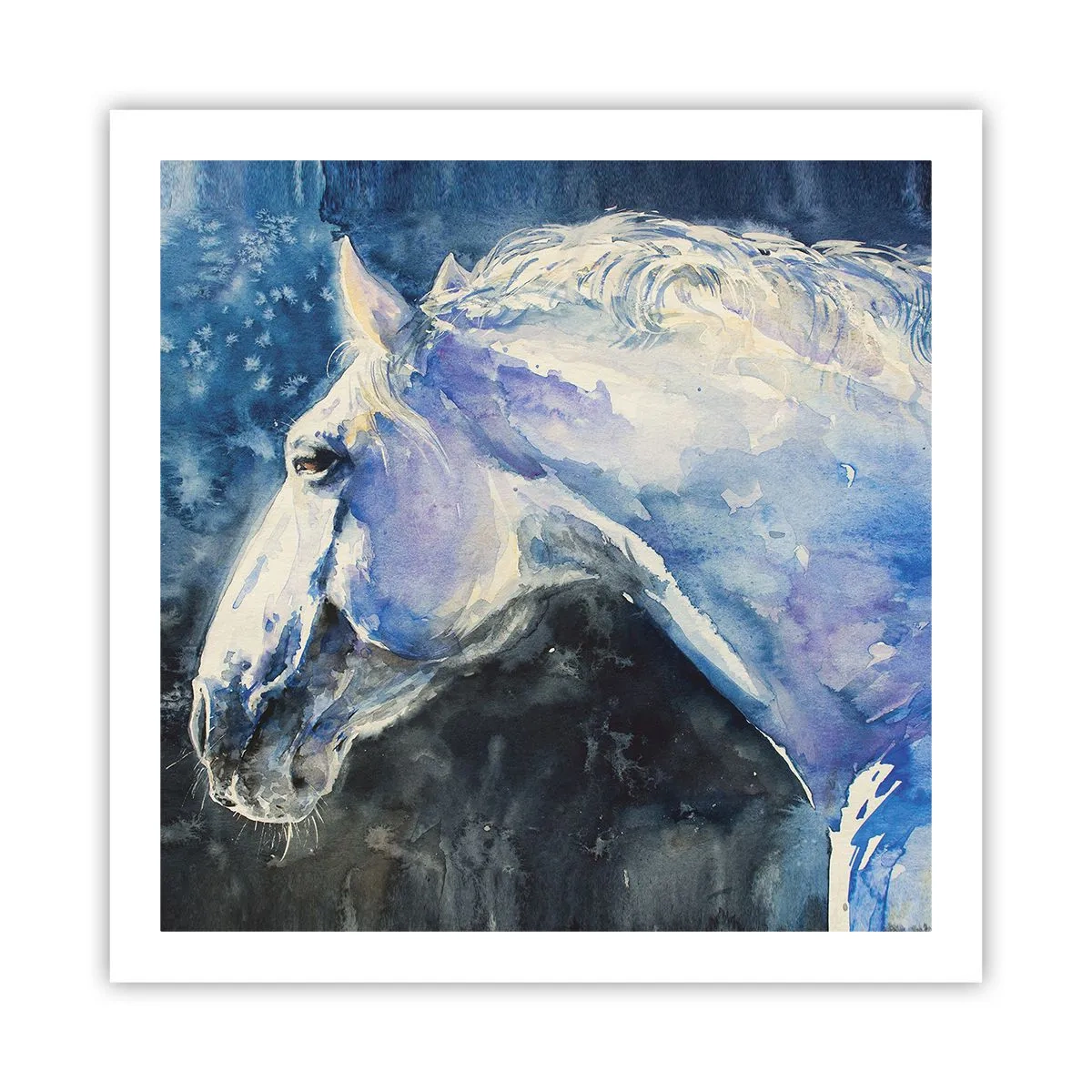 Poster - Porträt in blauem Glanz - 60x60 cm