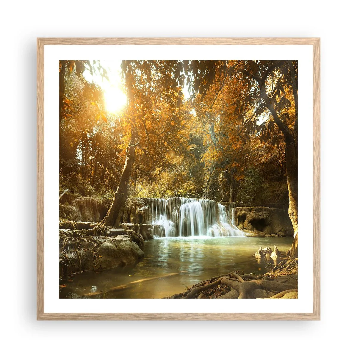 Poster in einem Rahmen aus heller Eiche - Parkkaskade - 60x60 cm
