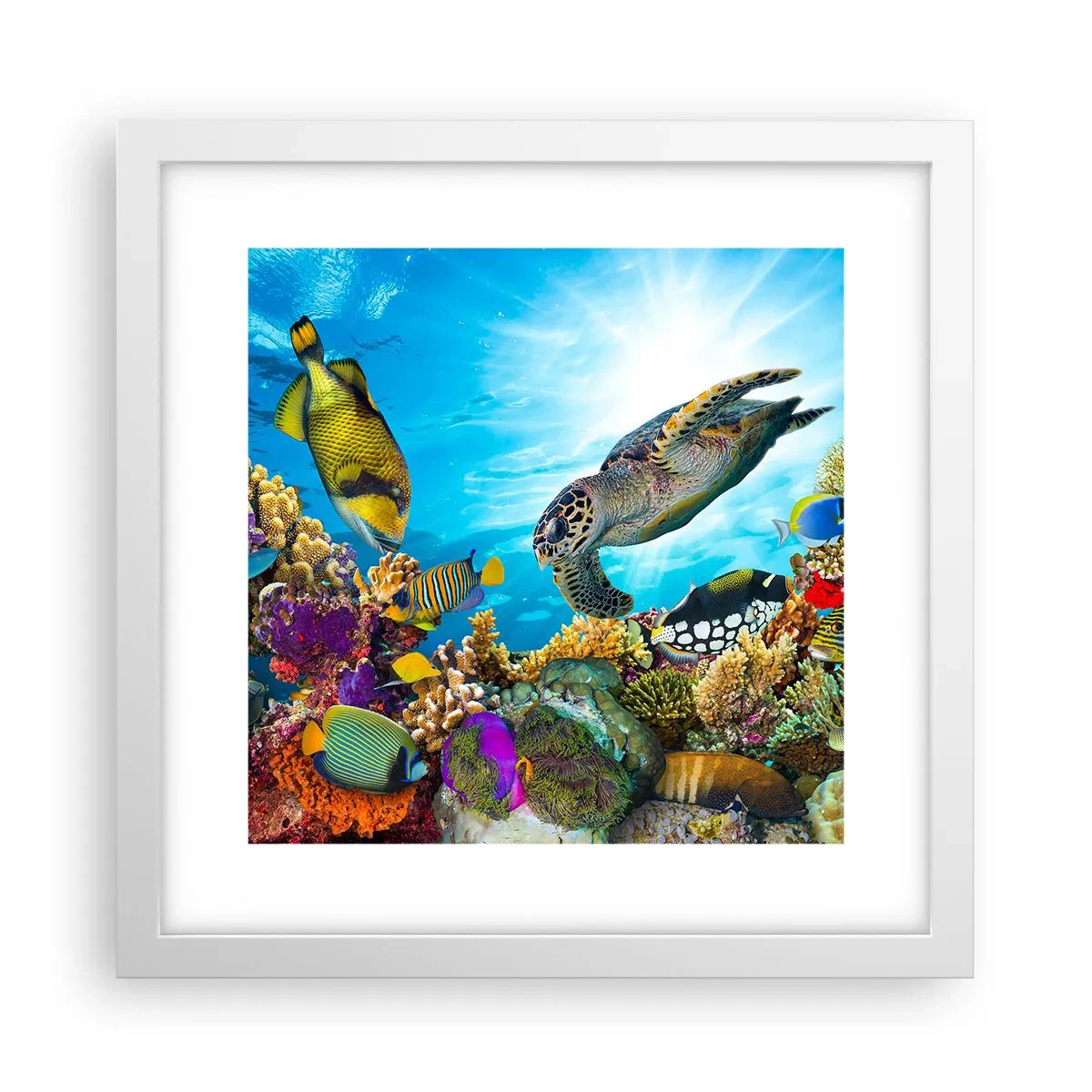 Poster in einem weißen Rahmen - Korallenpromenade - 30x30 cm