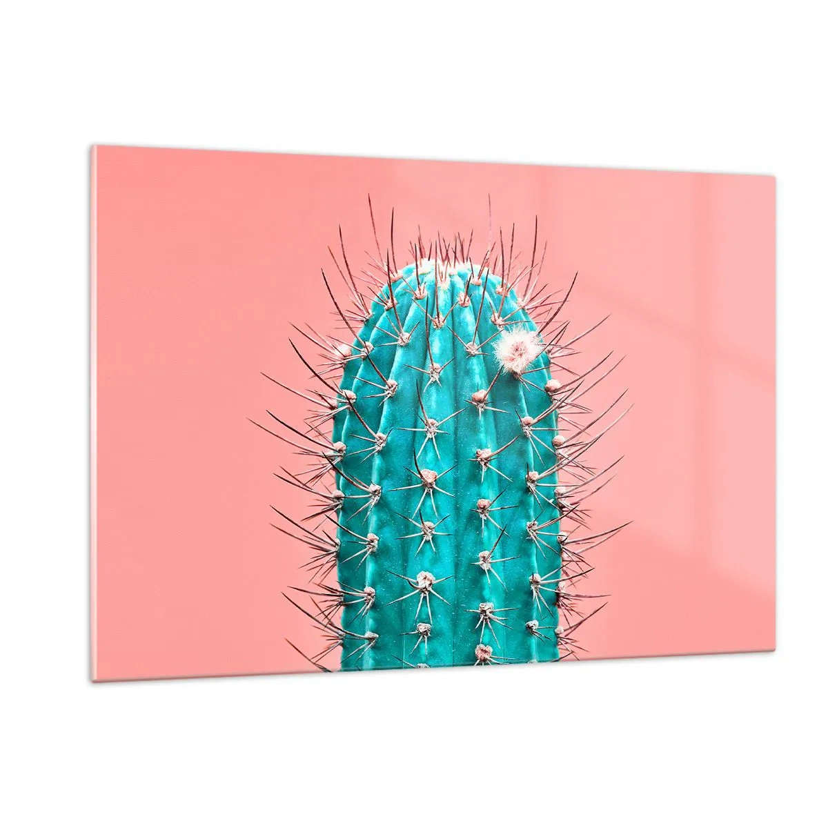 Glasbild - Bild auf glas - Grüner Kaktus mit Dornen auf rosa Hintergrund - 120x80cm - Schau einfach hin - Moderne Wanddekoration für Wohnzimmer und Schlafzimmer ARTTOR