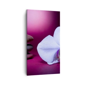 Bild auf Leinwand - Leinwandbild - Eine Studie der Frische in Lila - 45x80 cm