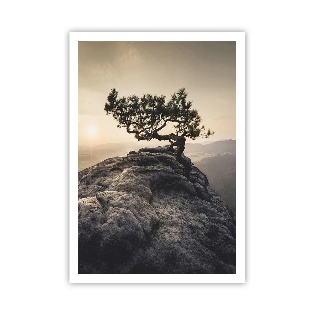 Poster - Das Leben gewinnt immer - 70x100 cm