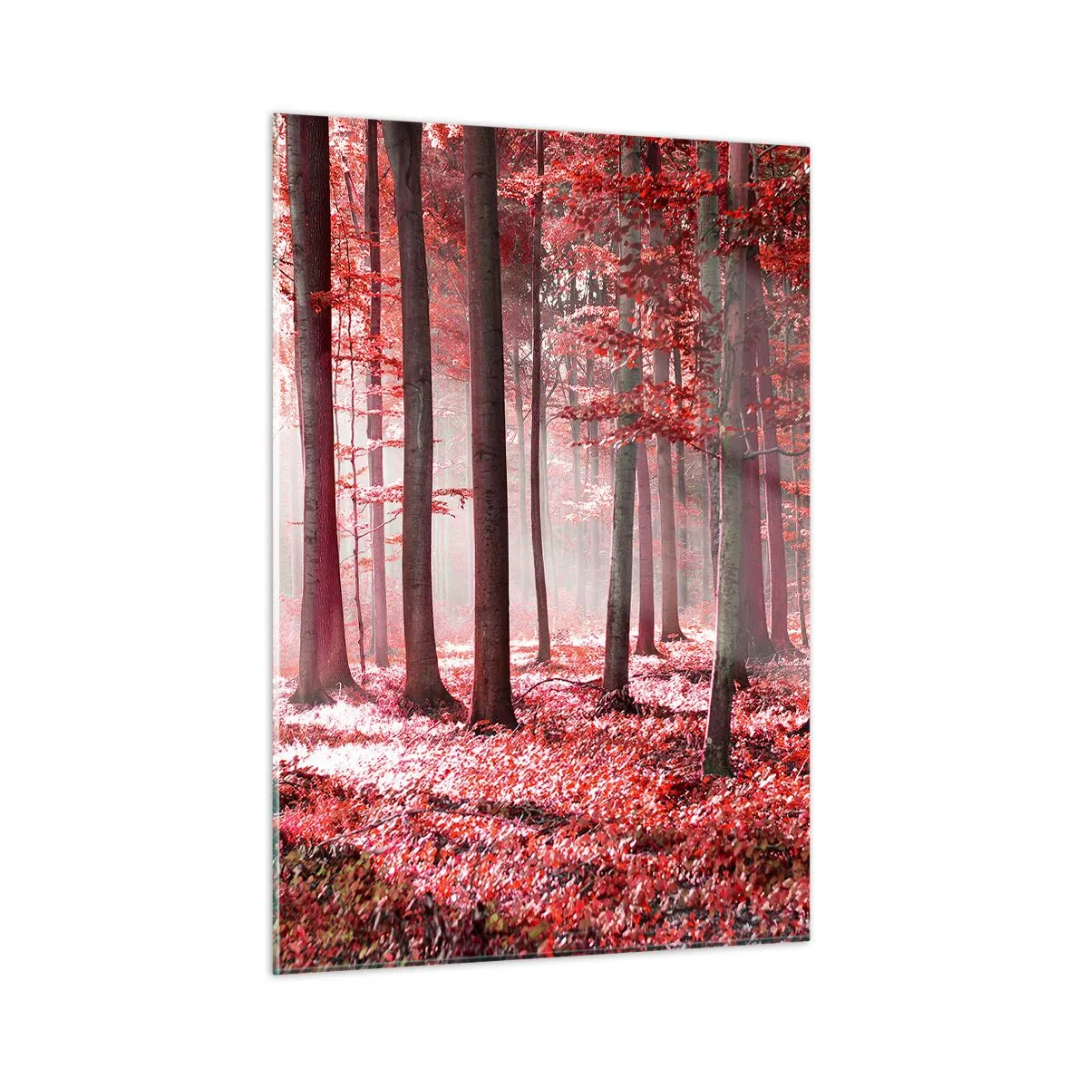 Glasbild - Bild auf glas - Herbstwald in roten Farben und Morgennebel - 50x70cm - Rot ist genauso schön - Moderne Wanddekoration für Wohnzimmer und Schlafzimmer ARTTOR