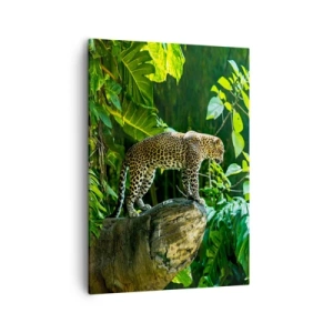 Bild auf Leinwand - Leinwandbild - Ein Leopard steht auf einem Felsen, umgeben von tropischer Vegetation - 50x70cm - Auf die Jagd? - Moderne Wanddekoration für Wohnzimmer und Schlafzimmer ARTTOR