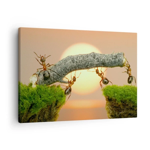 Bild auf Leinwand - Leinwandbild - Ameisen bauen vor dem Hintergrund der untergehenden Sonne eine Brücke aus Ästen. - 70x50cm - Glücklich, zusammen arbeiten - Moderne Wanddekoration für Wohnzimmer und Schlafzimmer ARTTOR