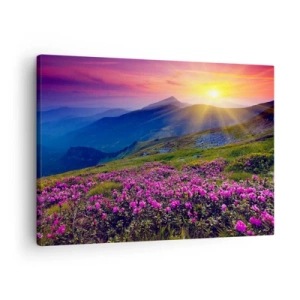 Bild auf Leinwand - Leinwandbild - Eine blühende Wiese mit Blick auf die Berge bei Sonnenuntergang - 70x50cm - … Und drumherum duftet es nach Latschenkiefer und dem Duft von Kräutern - Moderne Wanddekoration für Wohnzimmer und Schlafzimmer ARTTOR