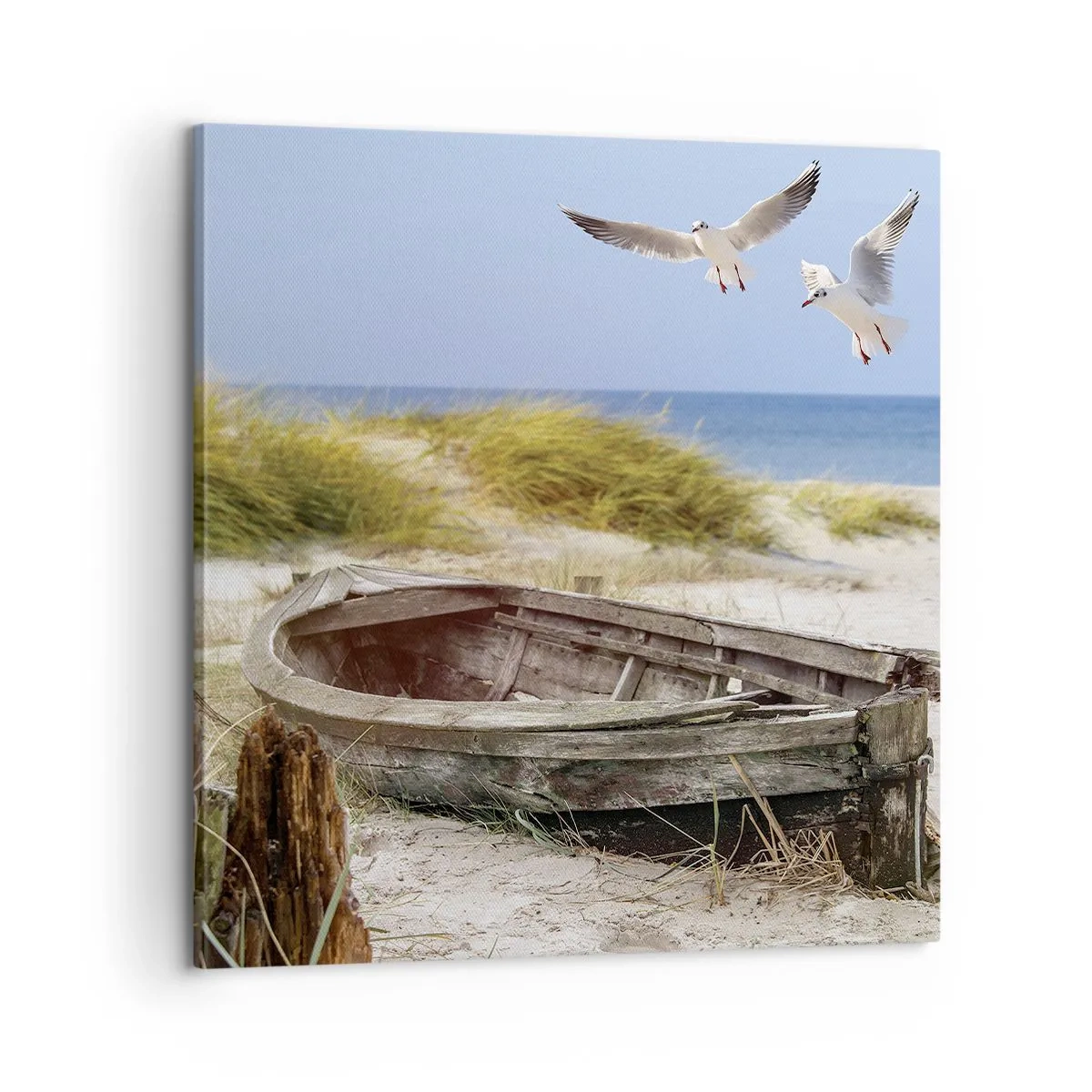 Bild auf Leinwand - Leinwandbild - In Wind gebadet - 60x60 cm