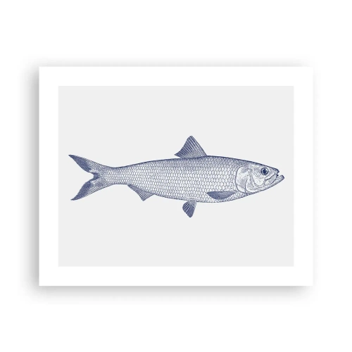 Poster - Grüße aus den nördlichen Meeren - 50x40 cm