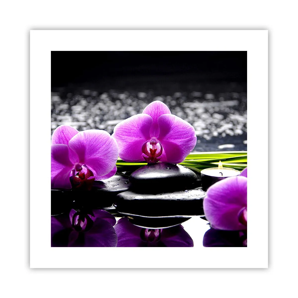 Poster - In Ruhe ertrinken - 40x40 cm