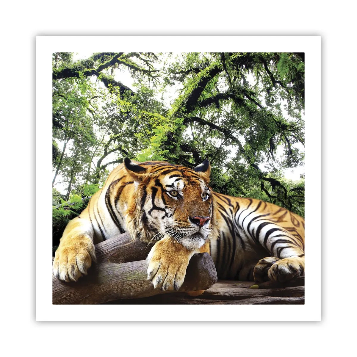 Poster - Hochachtungsvoll - 60x60 cm