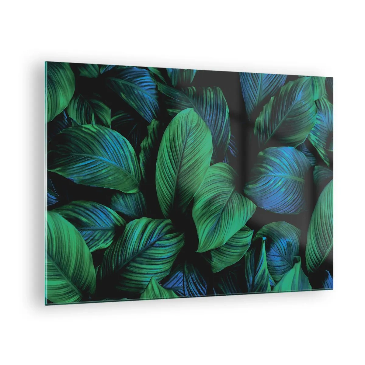 Glasbild - Bild auf glas - Nahaufnahme von Blättern in intensiven Grüntönen - 70x50cm - In der grünen Menge - Moderne Wanddekoration für Wohnzimmer und Schlafzimmer ARTTOR